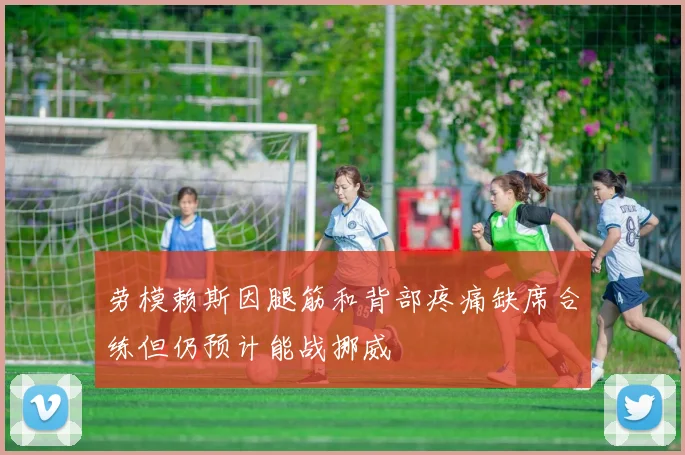 劳模赖斯因腿筋和背部疼痛缺席合练但仍预计能战挪威