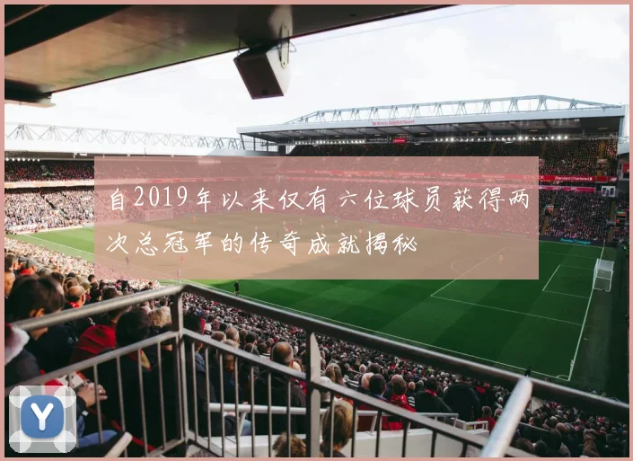自2019年以来仅有六位球员获得两次总冠军的传奇成就揭秘